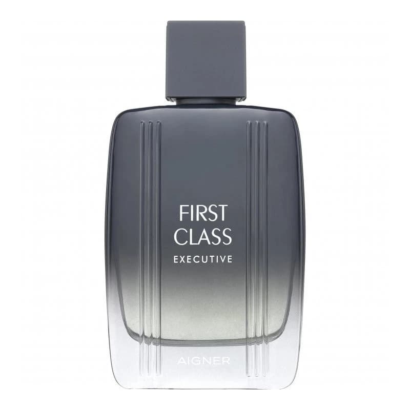 Aigner First Class Executive EDT 100ML
