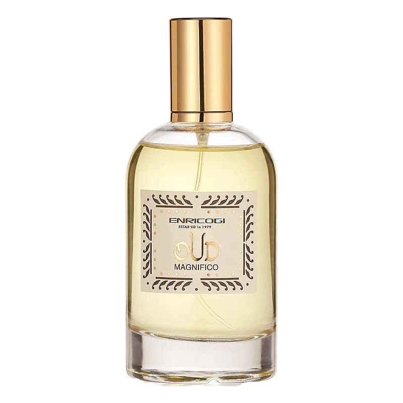 Enrico Gi Oud Magnifico EDP 100ML